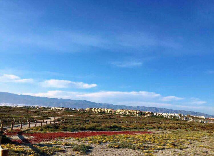 Apartamento Lujo, Primera Linea Playa, Garaje, Wifi, Piscina Climatizada Roquetas de Mar Exteriér fotografie